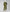 Green Yarn Dyed Jacquard Unstitched 3Pc
