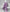 Purple Embroidered Khaddar Slub Unstitched 3Pc