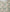 Green Printed Khaddar Slub Unstitched 3Pc
