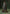 rang-e-bahar Silk Dark green 4Pc suit sitara-23-S
