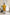Intense Yellow