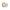 Cream Concealer Anne T. Dote