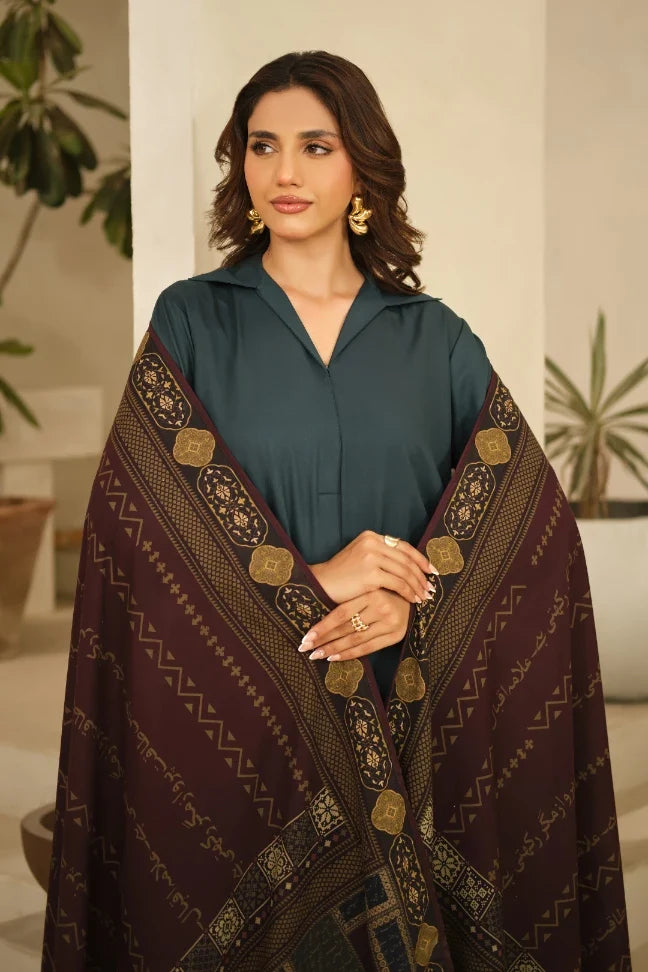 Aashiyana Odhni - Plum