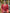 2 PIECE - EMBROIDERED LAWN SUIT