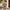 Chess Club Resort Co-ord Set