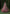 rang-e-bahar net Tea rose pink 4Pc suit nayab-26-S
