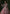rang-e-bahar net Tea rose pink 4Pc suit nayab-26-S