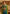 rang-e-bahar chiffon Teal 4 pc suit SJ-1042-S