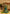 rang-e-bahar chiffon Teal 4 pc suit SJ-1042-S