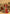 rang-e-bahar chiffon red 4Pc suit SJ-1067-S