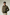 Regular Fit Suede Jacket