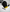 Black Yellow Dye Cap -IMP167