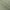 League – Premium Fine Count Soft Finish
