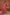 3 Piece - Embroidered Karandi Suit (Unstitched)