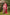 3 Pc Unstitched Embroidered Arabic Lawn Suit | MB-PFUS25-01B