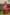 3 Pc Unstitched Embroidered Arabic Lawn Suit | MB-PFUS25-05B