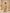 Desert Luxe Cord Set – Camel