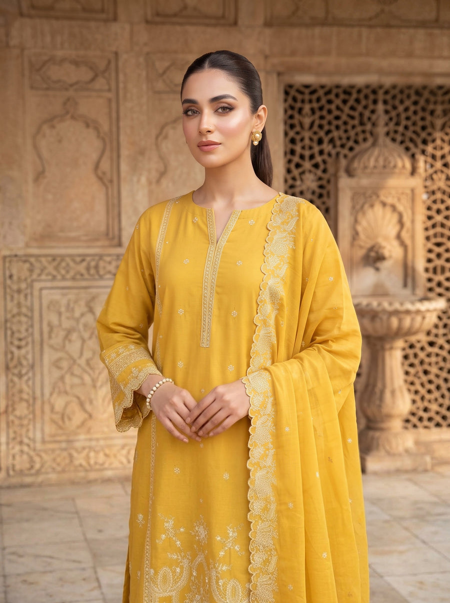 03 Piece Ready to wear Luckhnowi Collection