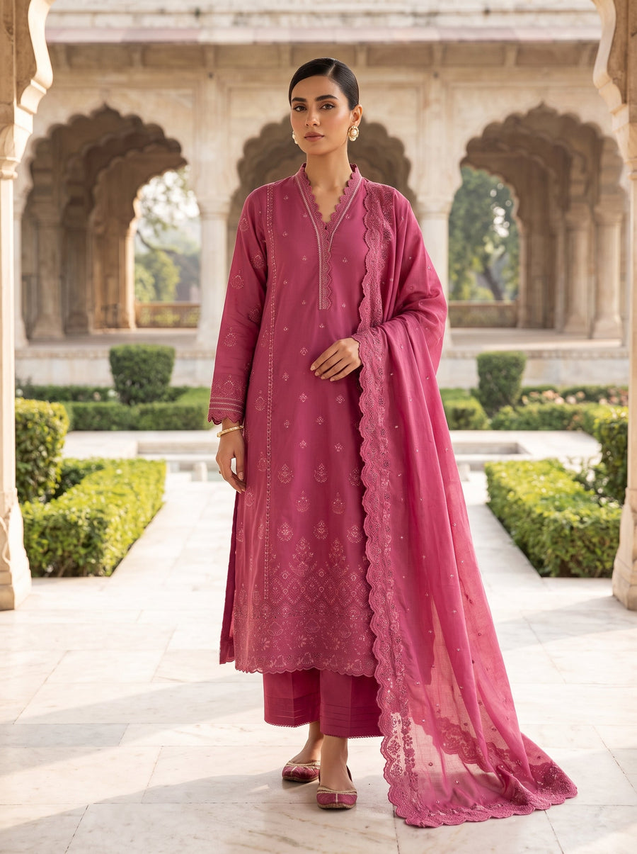 03 Piece Ready to wear Luckhnowi Collection
