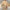 Ivory Skin Cotton Embroidered Kurta Trouser - Men