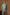 Unstitched Muzlin Lawn 3 Piece Suit