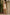 2 Pc Embellished Bamberg Raw Silk Suit