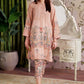 2 Pc Printed Georgette Suit