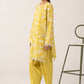 2 Pc Embroidered Lawn Suit