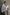 Stitched Embroidered Khaadi Silk Shirt+ Shalwar