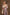 Unstitched Printed 3 Piece Raw Silk & Net Suit