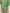 GIRLS GREEN KHADDAR JUMPSUIT