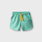 Minty Shorts
