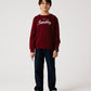 Boys Burgundy Leisure Fleece Sweatshirt