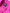 Women Shocking Pink Long Coat