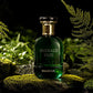 Emerald Oud For Unisex - 100 ml