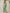 SAGE - SLD18-25 - 2Pc Embroidered Set