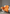 Orange Dupatta