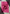 Pink Dupatta