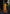 rang-e-bahar Chiffon Mustard 4Pc suit SJ-1004-S