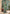 rang-e-bahar Chiffon Green 4Pc suit SJ-1022-S