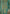 rang-e-bahar Chiffon Green 4Pc suit SJ-1022-S