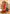 rang-e-bahar Chiffon Ruby red 4Pc suit SJ-1029-S