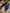 Navy Blue Suede Penny Loafers