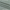 Alex Winter - Sage Green