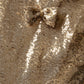 Golden Stardust Sequin Dress