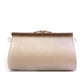 Women Clutch - 04893B