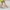 Women Formal Court Shoes - 74614S