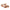 Women Formal Sandals - 41203S