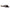 Women Formal Slippers - 40844S