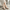 Women Formal Slippers - 41021S